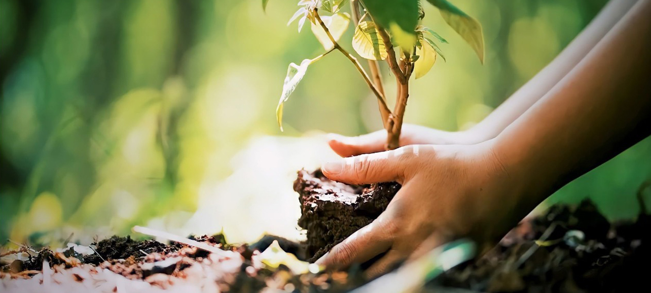 Blood donation camp by SLR Foundation